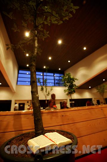 2008.05.30_21.20.08.JPG