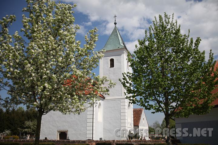 2009.04.19_13.45.58.jpg - Das Kirchlein von St. Veit inmitten blhender Mostobstbume.