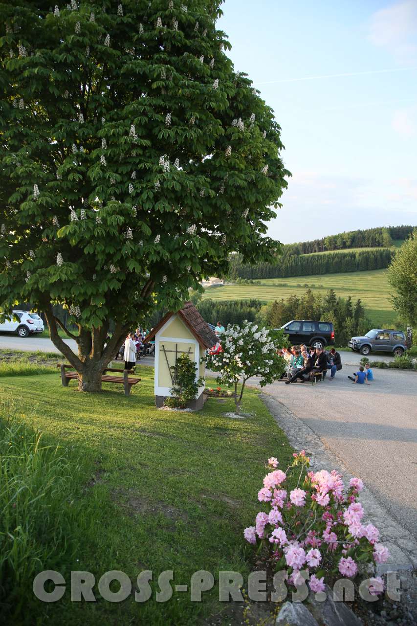 2017.05.16_19.57.50.jpg