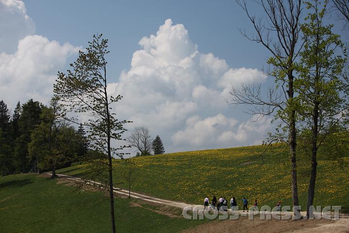 2009.05.03_11.58.15.jpg