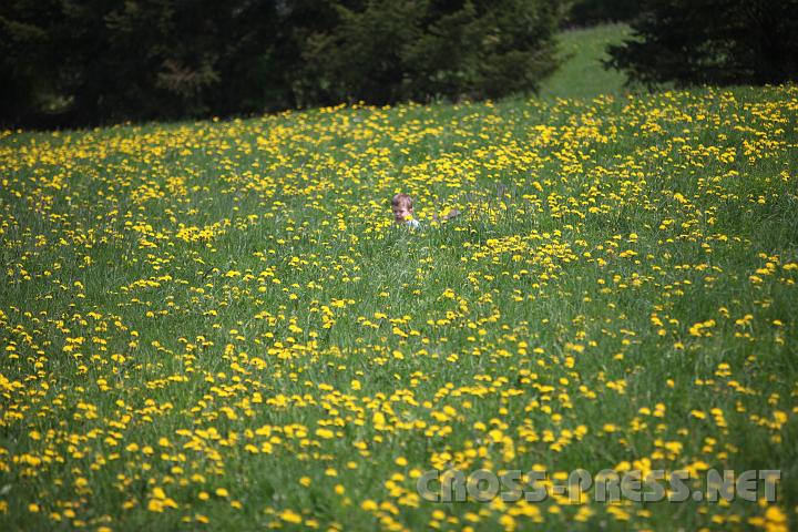 2009.05.03_12.46.59.jpg