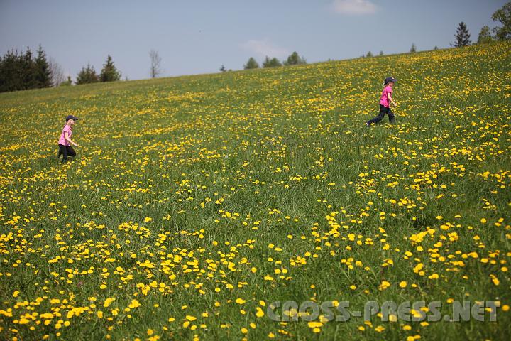 2009.05.03_12.47.13.jpg