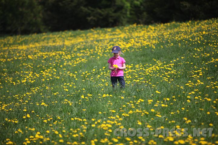 2009.05.03_12.47.27.jpg