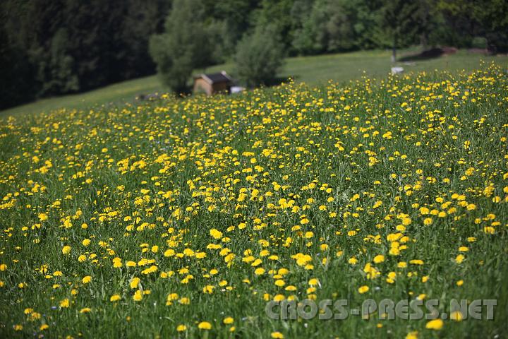 2009.05.03_13.47.48.jpg