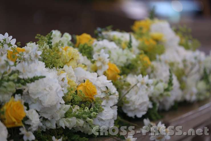 2014.06.15_11.32.00.jpg