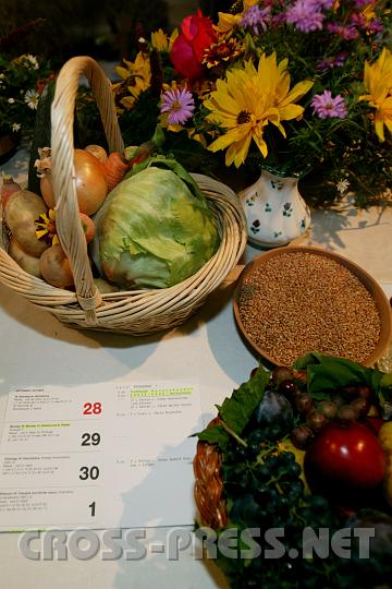 2008.09.28_10.17.22.JPG