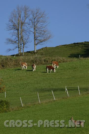 2008.10.05_16.53.43.JPG