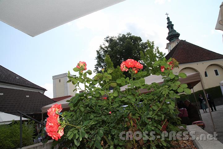 2013.06.30_10.57.53.jpg