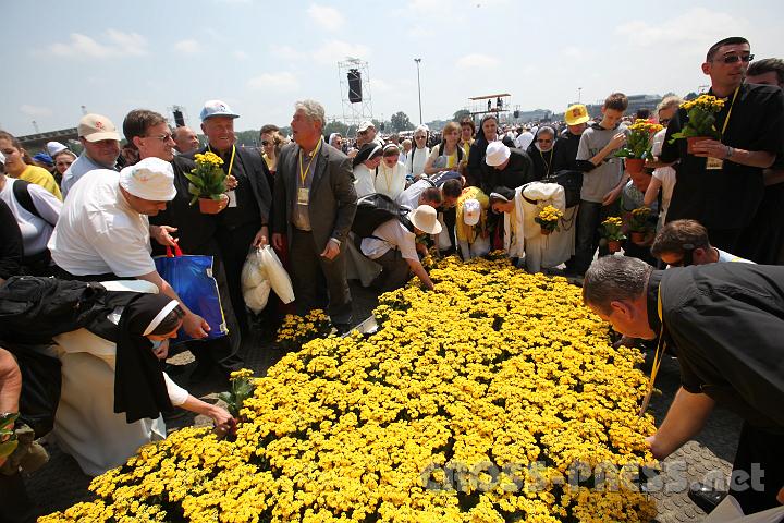2011.06.05_12.46.43.jpg