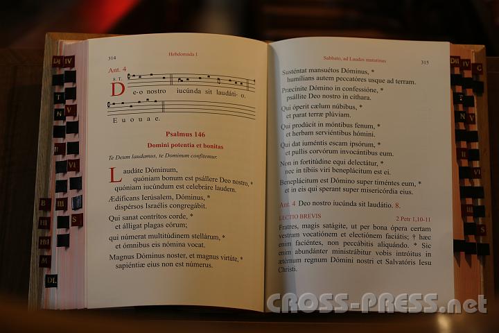 2012.04.05_11.58.56.jpg