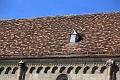 2012.04.27_16.01.59