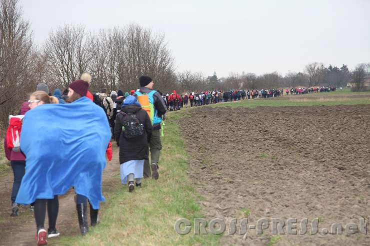 2016.03.13_10.30.27.JPG