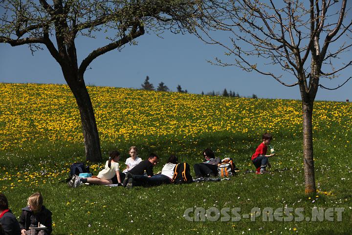 2010.04.25_12.26.50.jpg