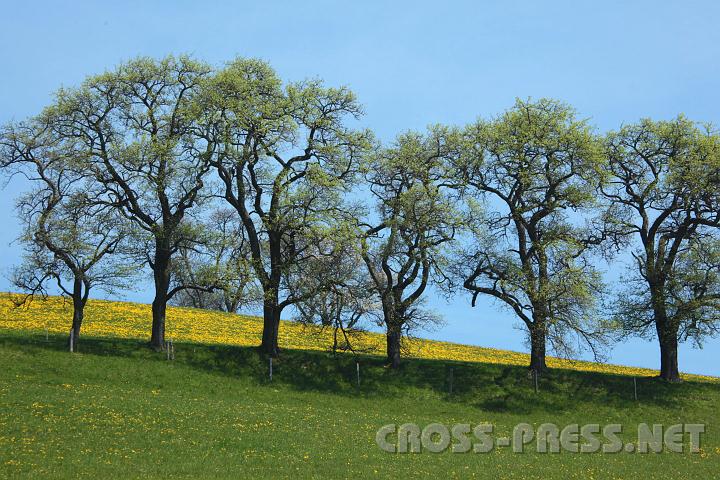 2010.04.25_12.27.04.jpg