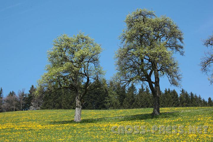 2010.04.25_12.47.08.jpg