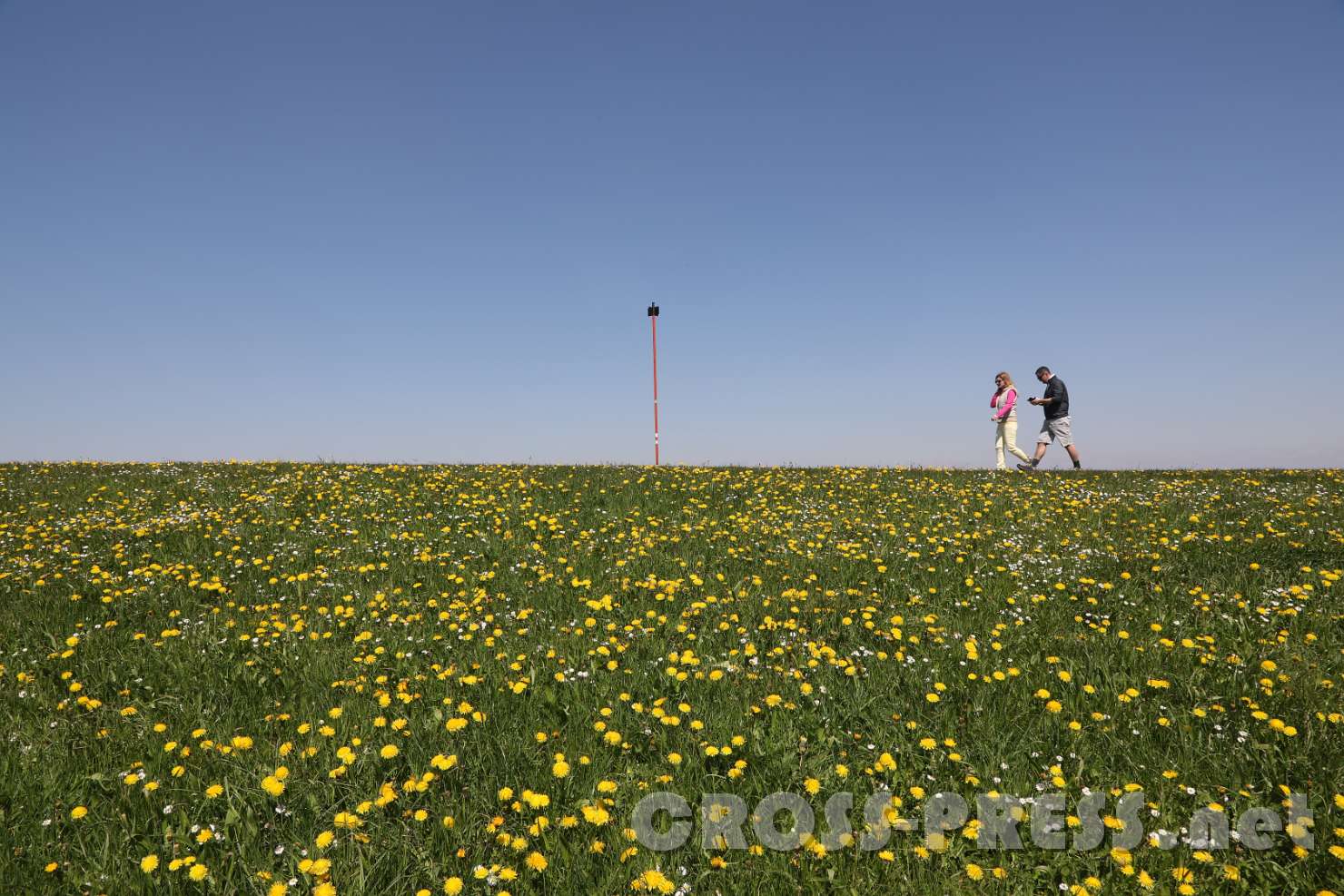 2017.04.30_12.58.37.jpg