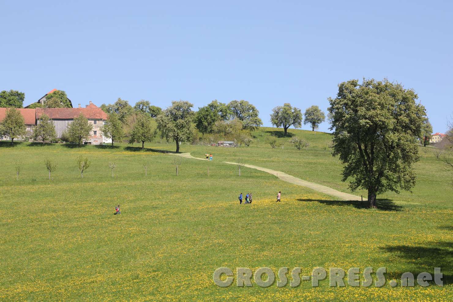 2017.04.30_14.51.58.jpg