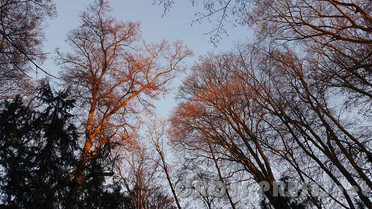 2016.12.10_15.48.00.jpg